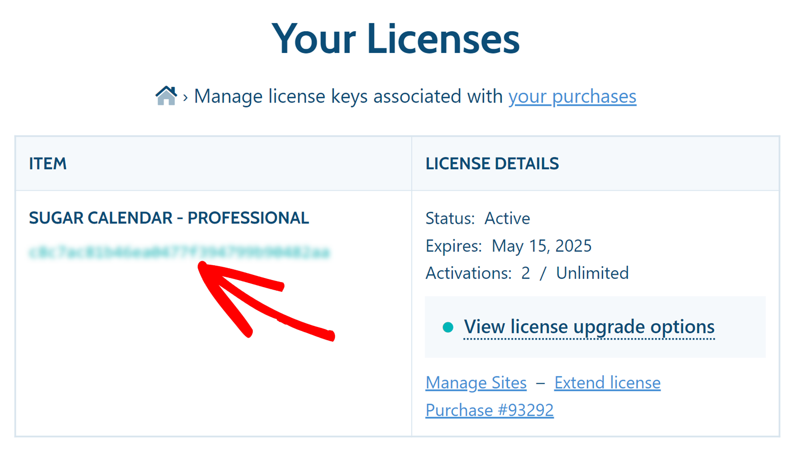 Copy license key