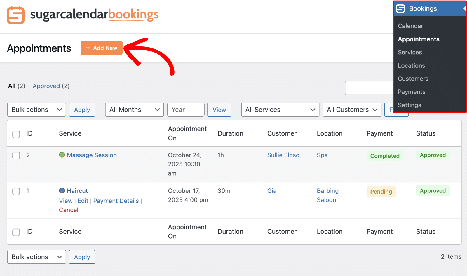 Click Add New to create a manual appointment