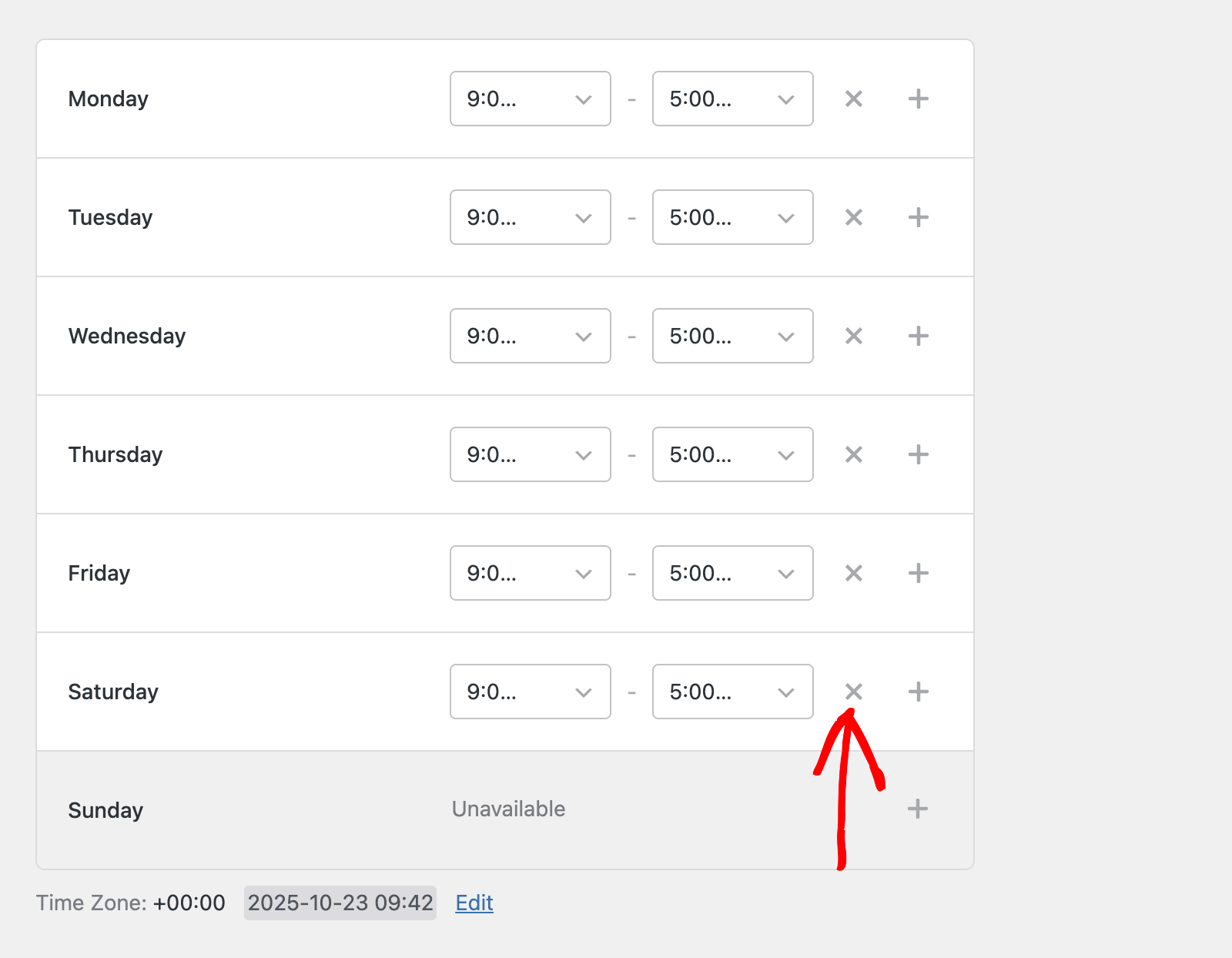 Remove a time slot or working day