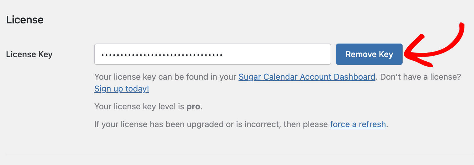 Remove license key in Sugar Calendar Bookings settings