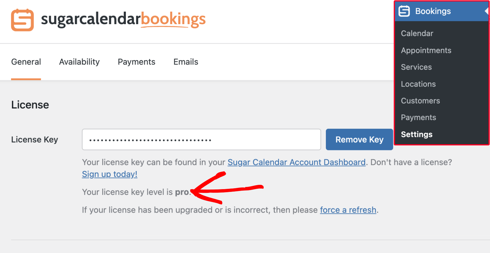 License key level shown in Sugar Calendar Bookings settings