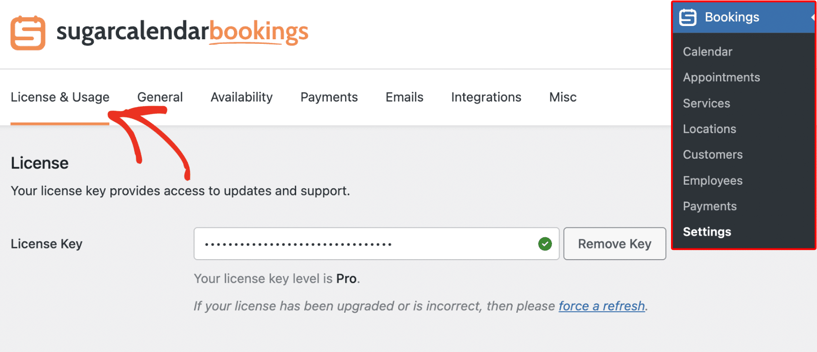 License and Usage tab in Sugar Calendar Settings