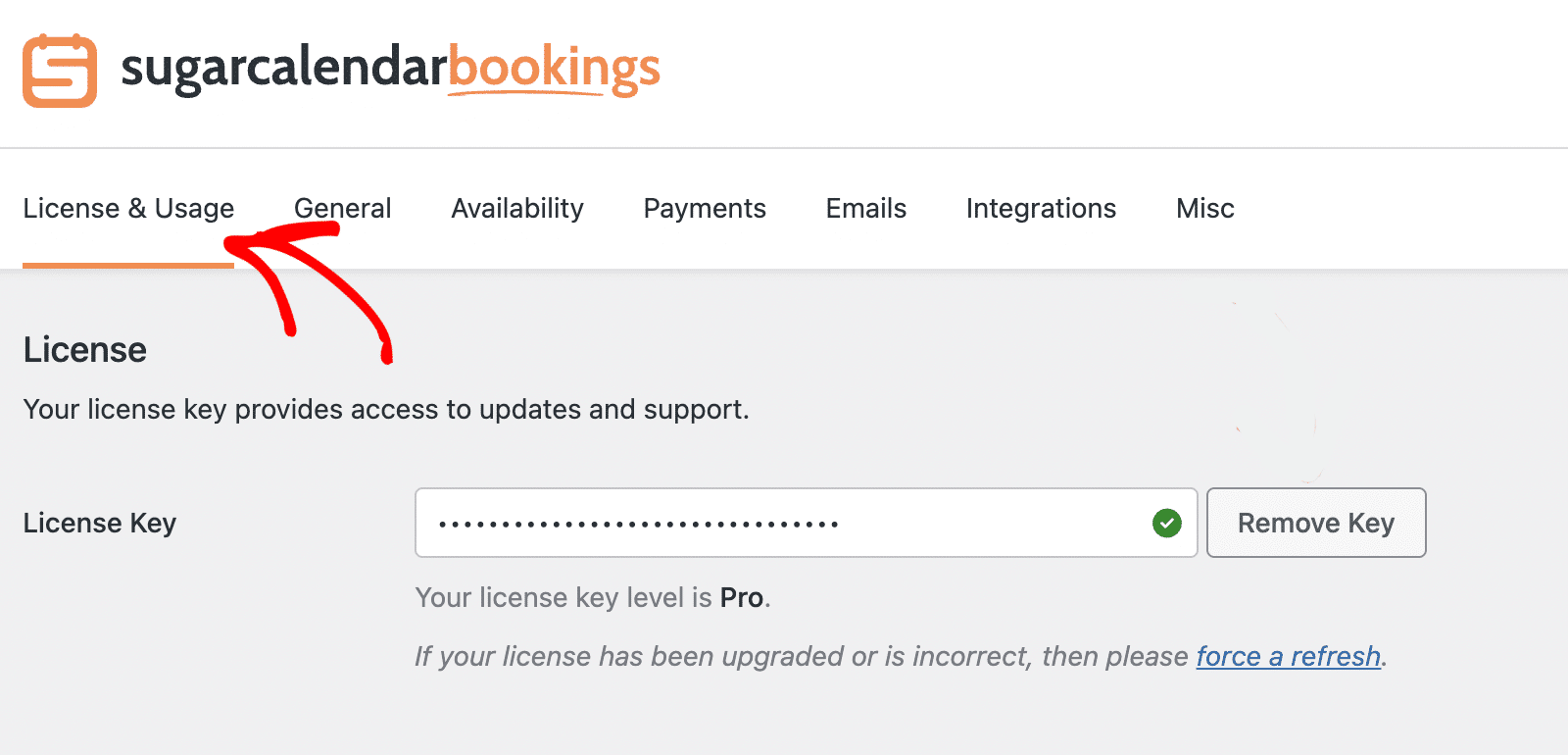 License and Usage tab in Sugar Calendar Bookings Settings