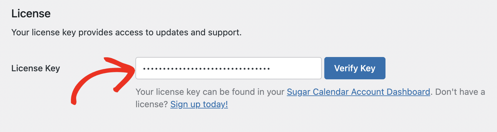License key field and license details in the License and Usage tab