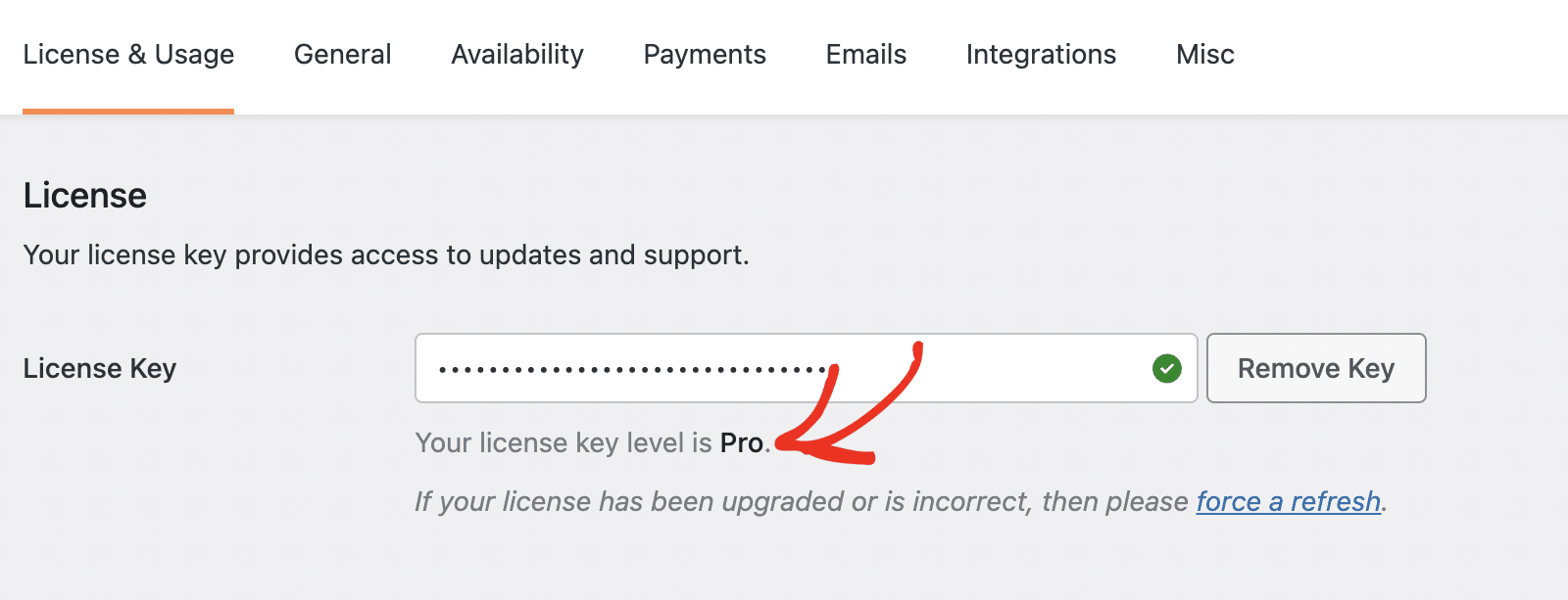 Pro license level confirmation