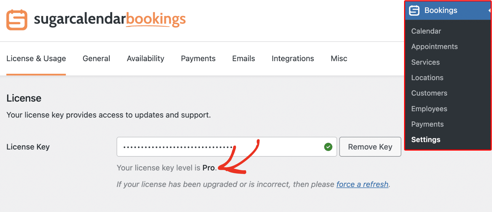 License key level shown in Sugar Calendar Bookings settings
