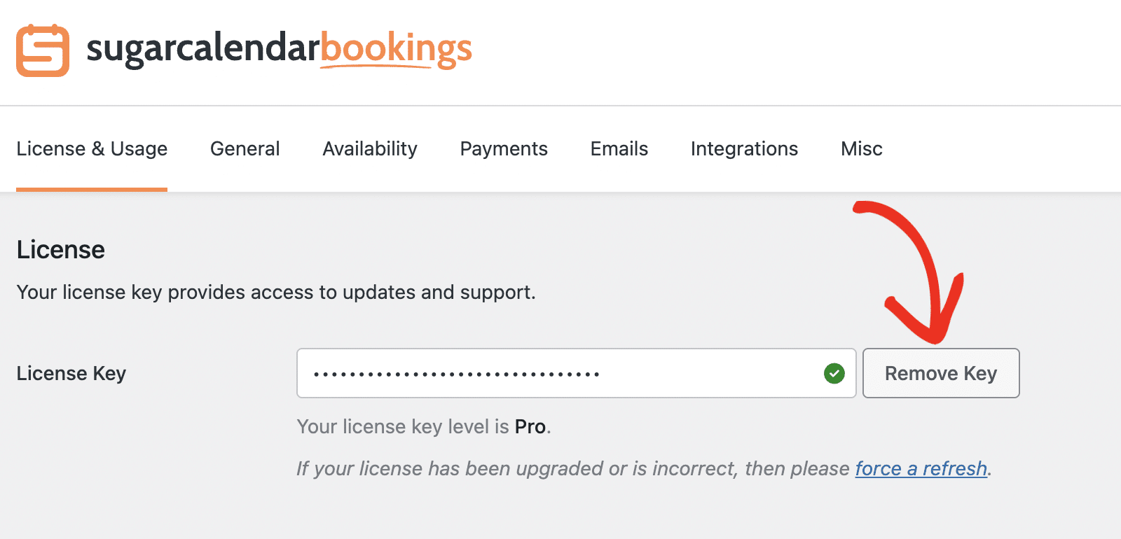 Remove license key in Sugar Calendar Bookings settings