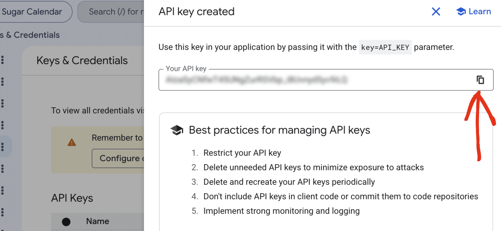 Copy API Key